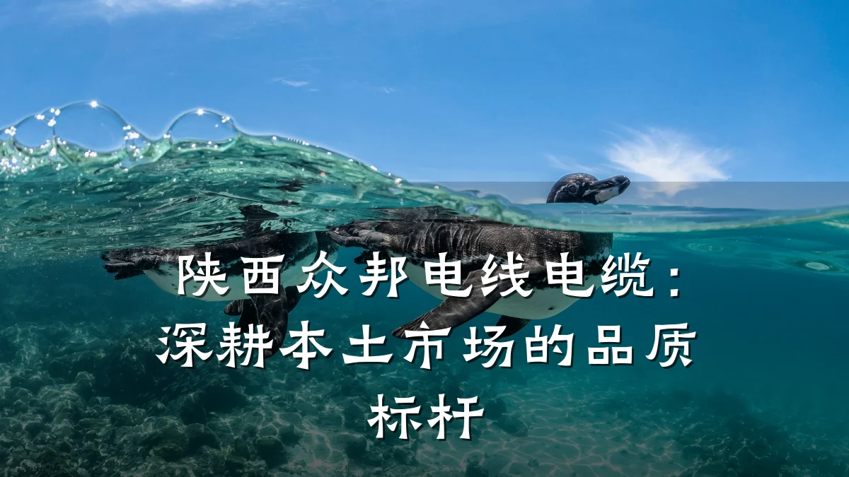 陕西众邦电线电缆:深耕本土市场的品质标杆