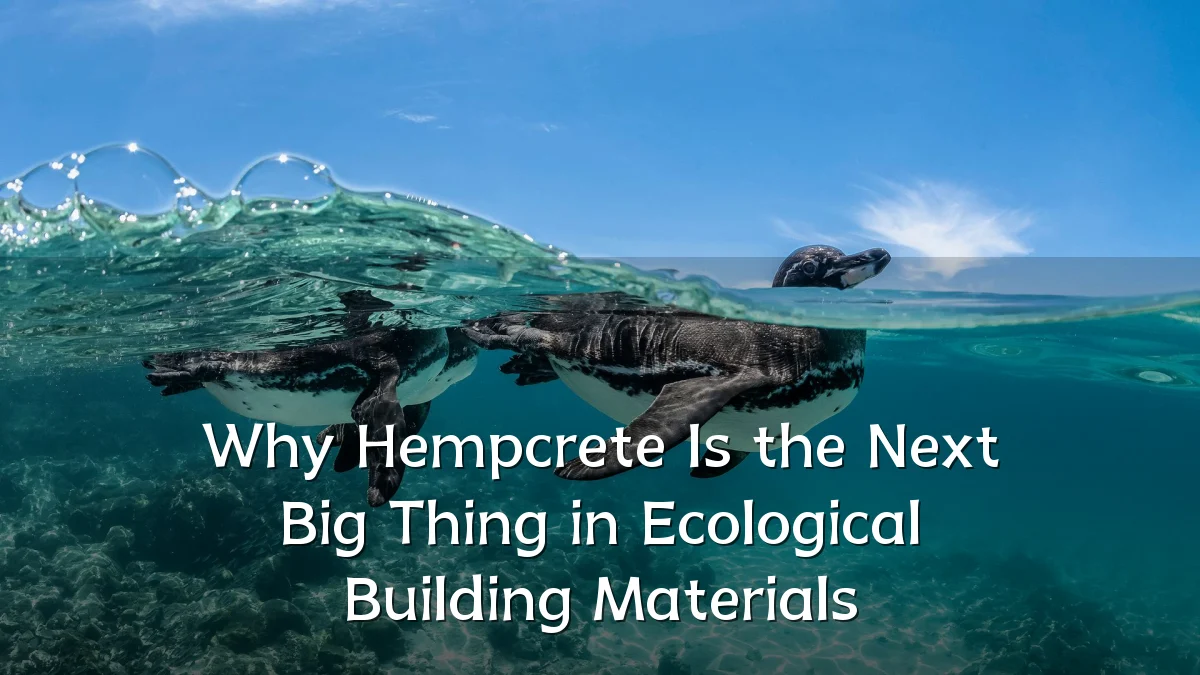 Why Hempcrete Is the Next Big Thing in Ecological Building Materials