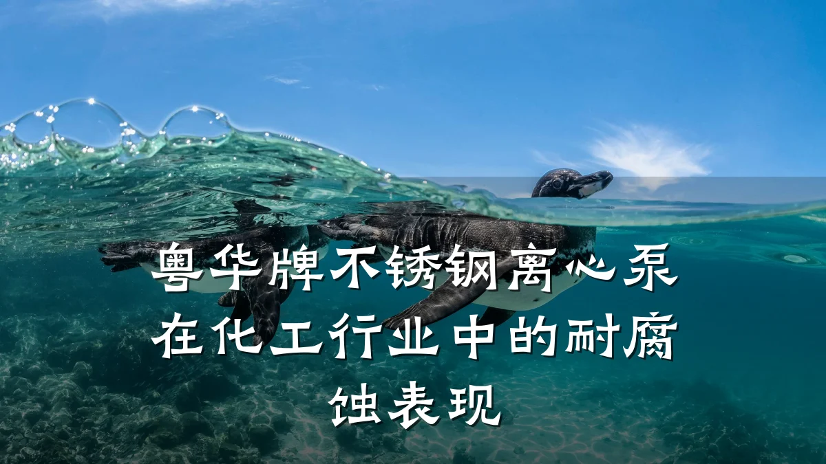 粤华牌不锈钢离心泵在化工行业中的耐腐蚀表现