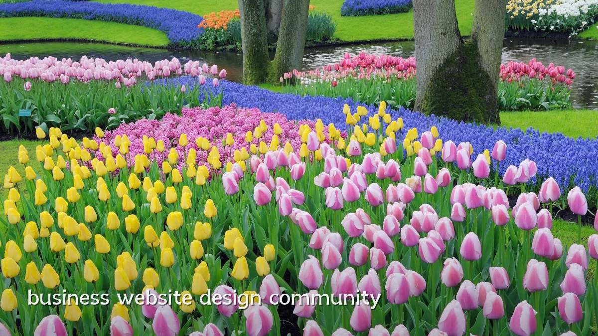 business website design community