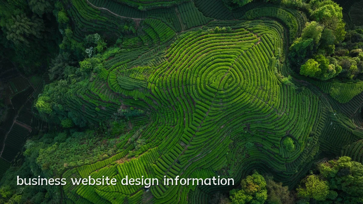 business website design information