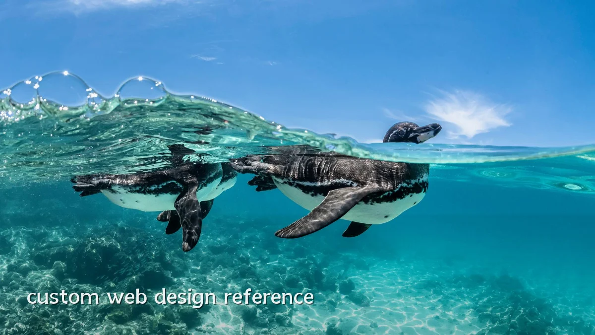 custom web design reference
