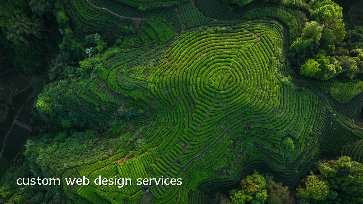 custom web design services