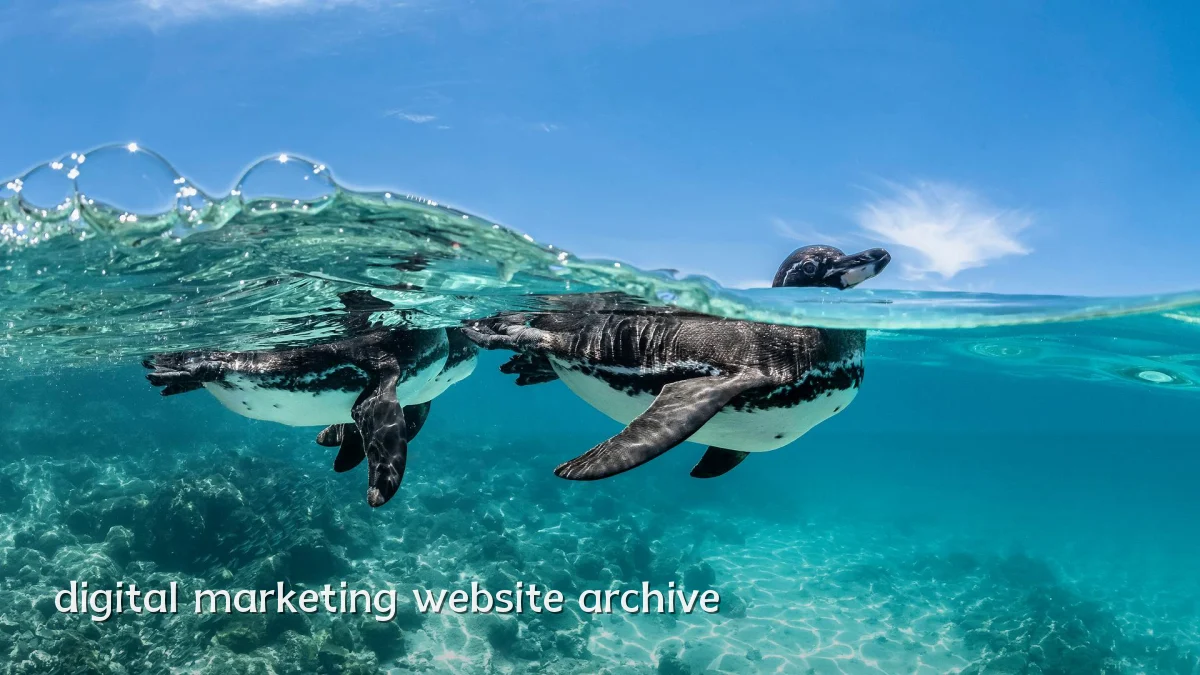digital marketing website archive