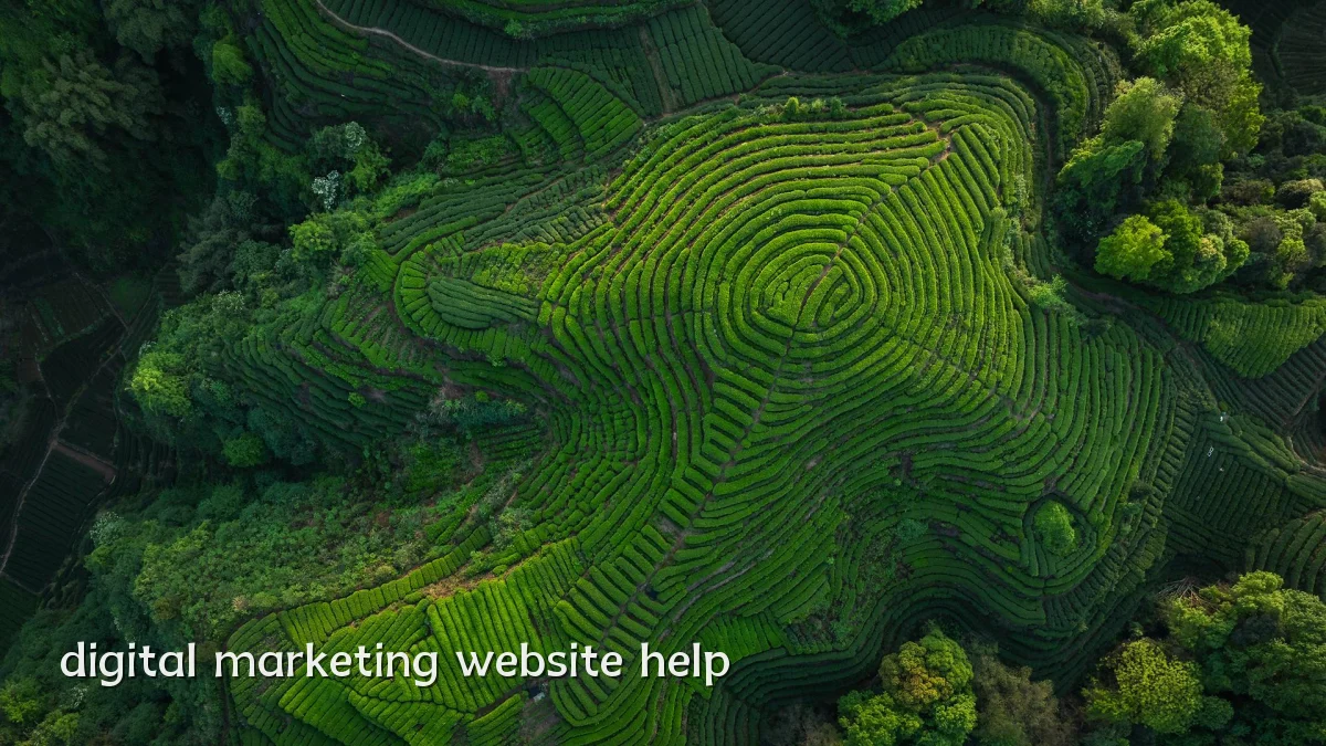 digital marketing website help