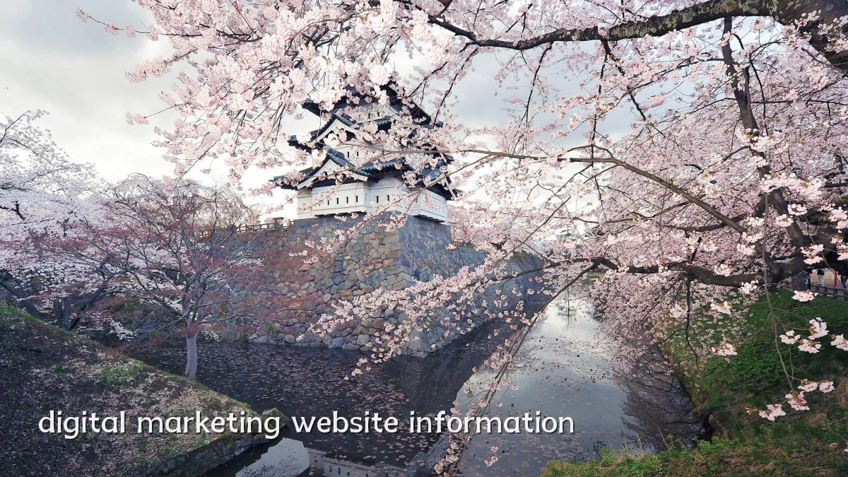 digital marketing website information