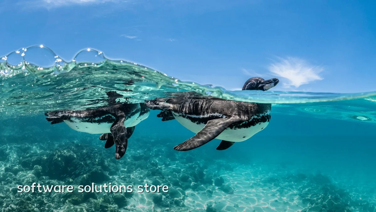 software solutions store