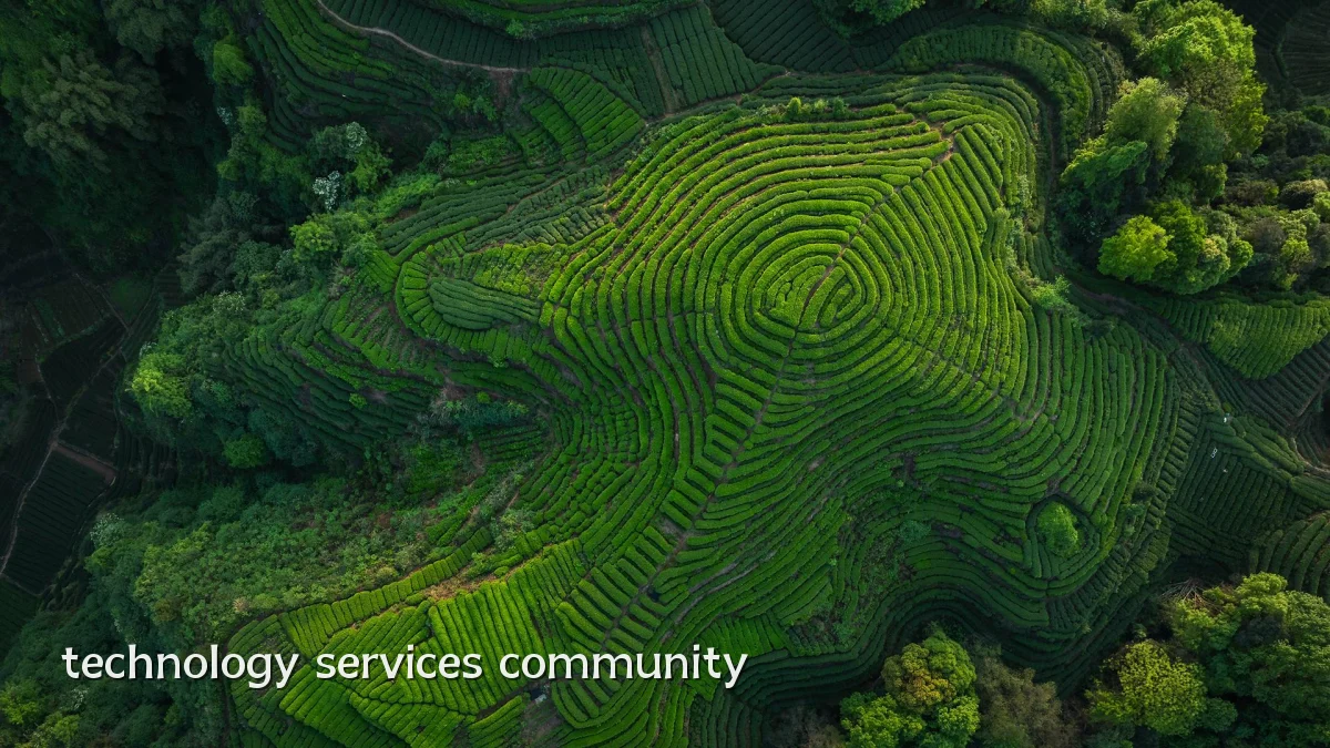 technology services community