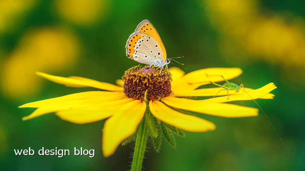 web design blog