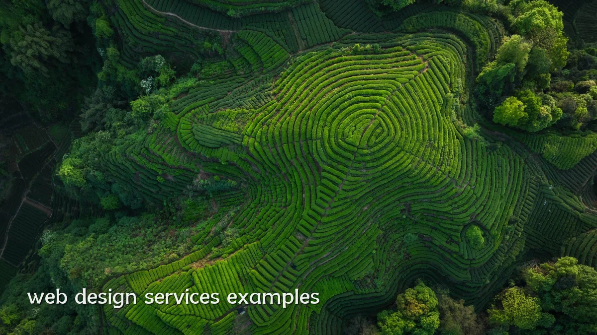 web design services examples