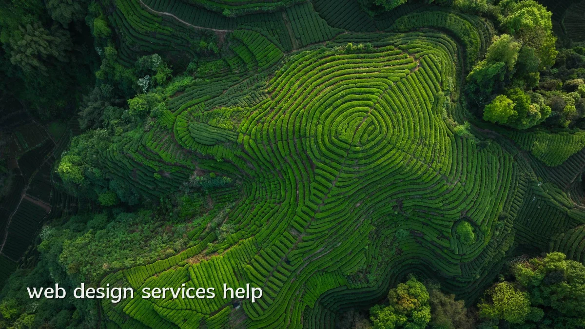 web design services help