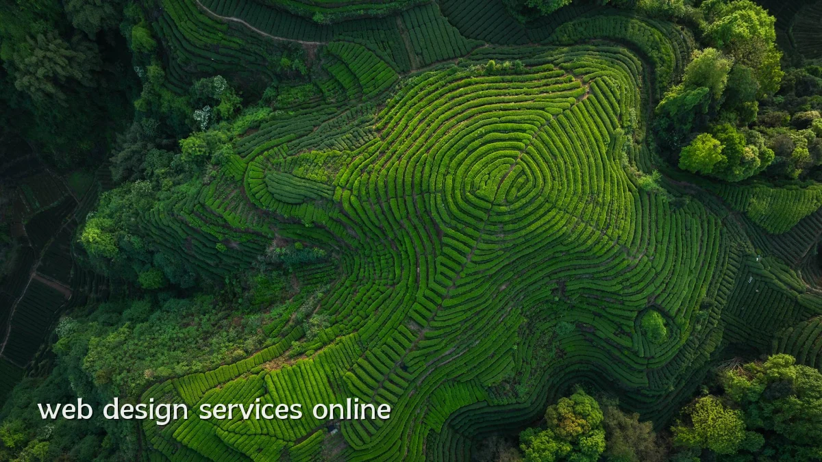 web design services online