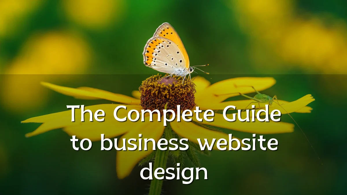 The Complete Guide to business website design