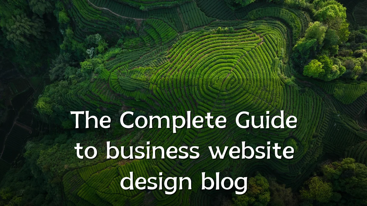The Complete Guide to business website design blog