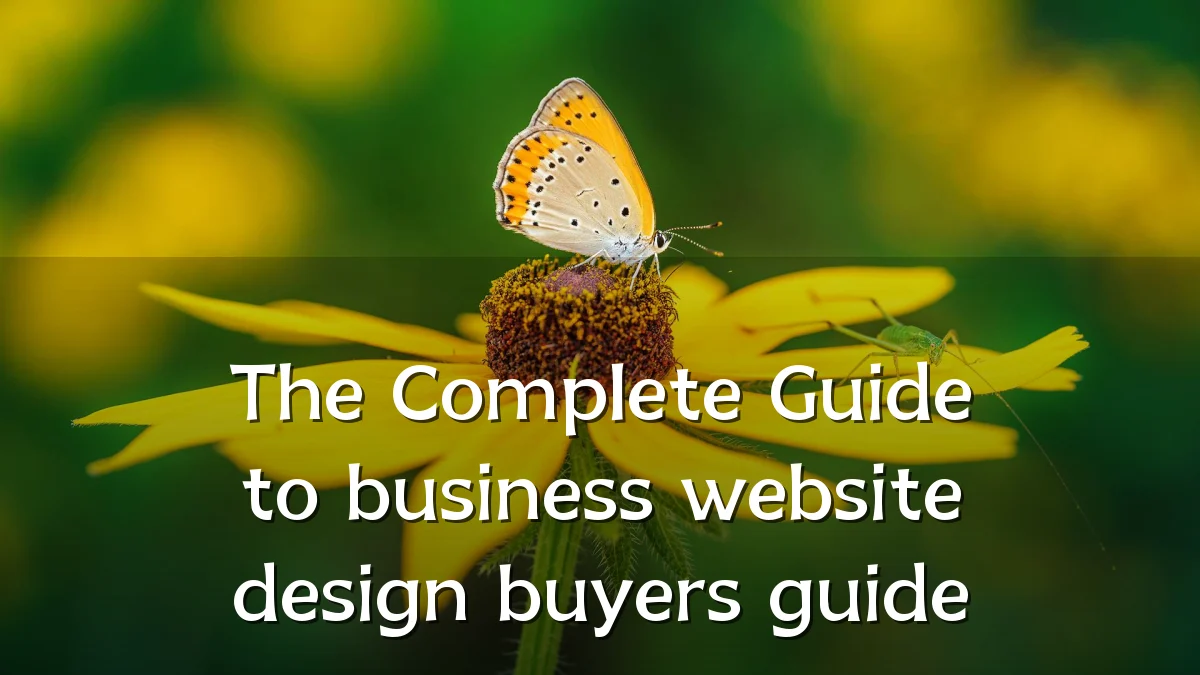 The Complete Guide to business website design buyers guide