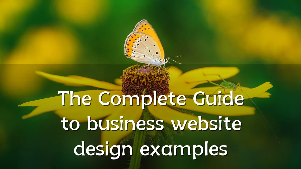 The Complete Guide to business website design examples