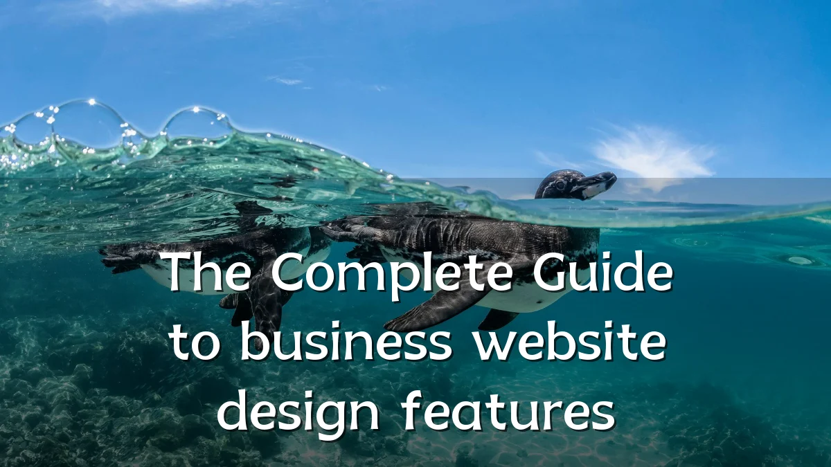 The Complete Guide to business website design features