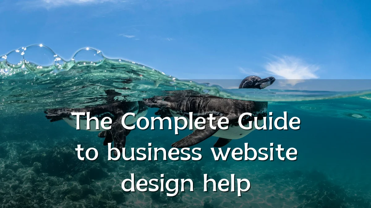 The Complete Guide to business website design help