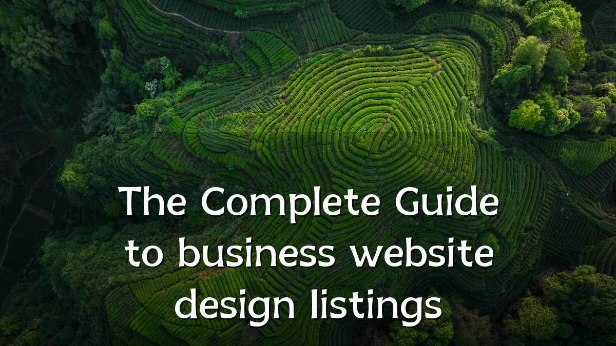 The Complete Guide to business website design listings