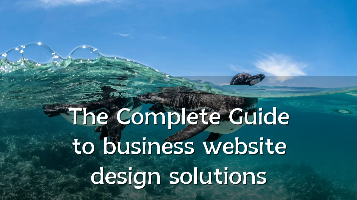 The Complete Guide to business website design solutions