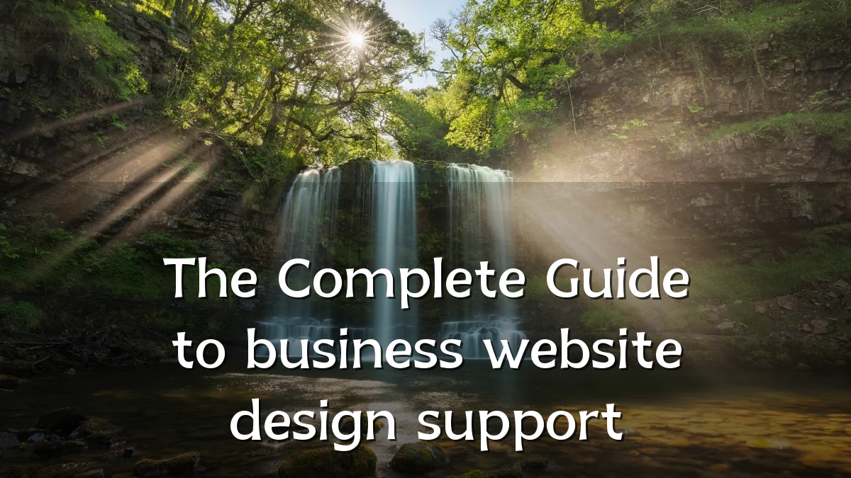 The Complete Guide to business website design support