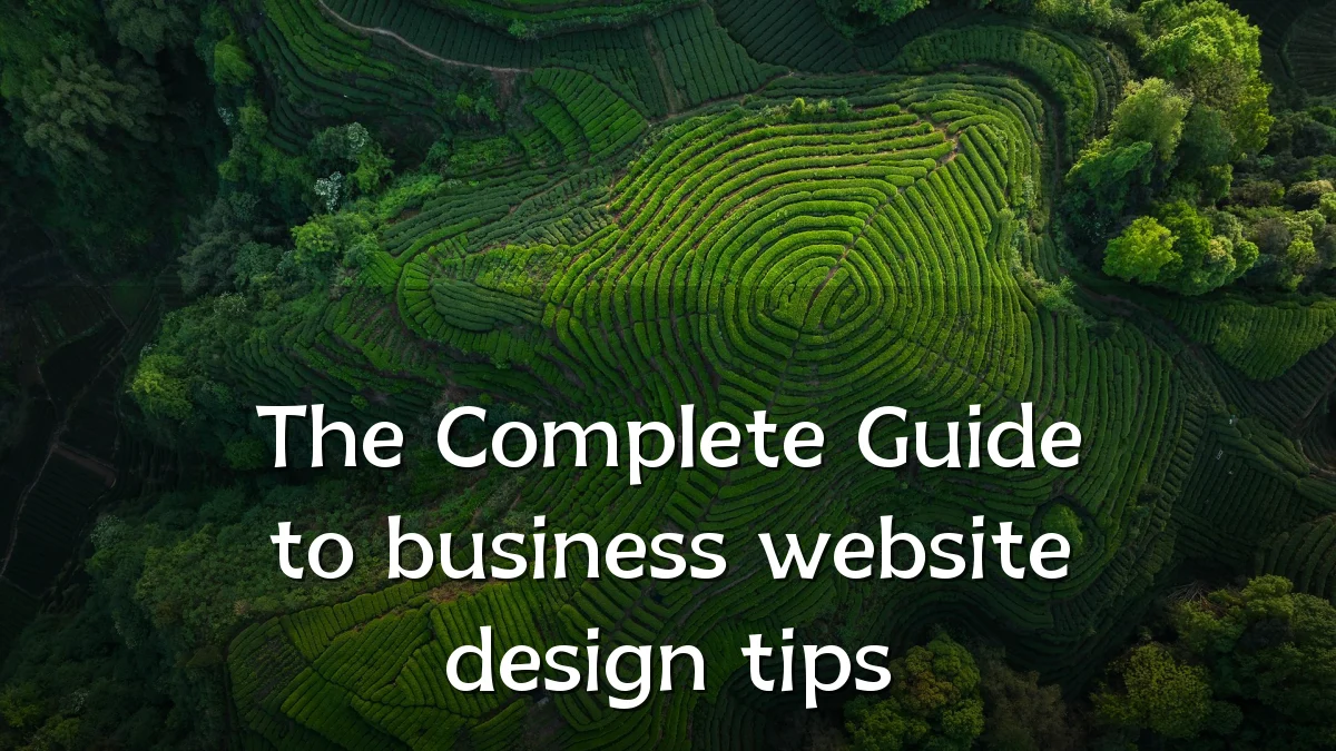The Complete Guide to business website design tips