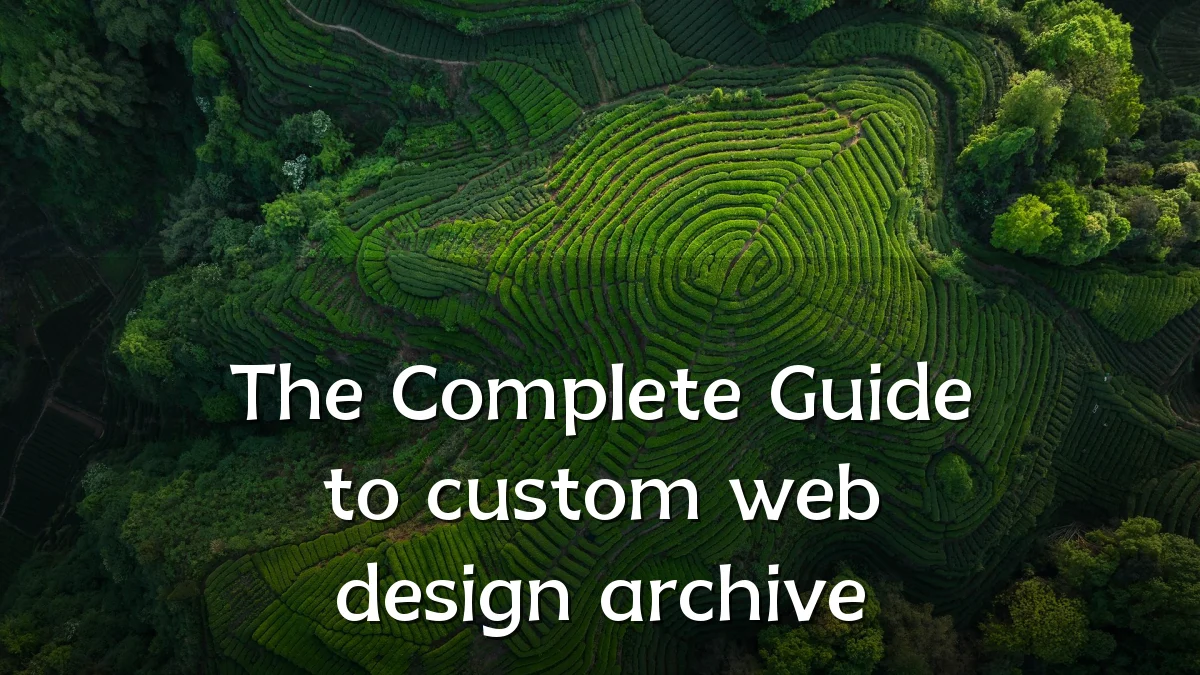The Complete Guide to custom web design archive
