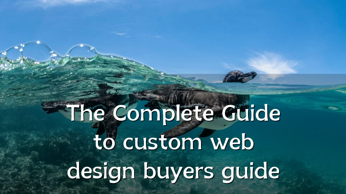 The Complete Guide to custom web design buyers guide