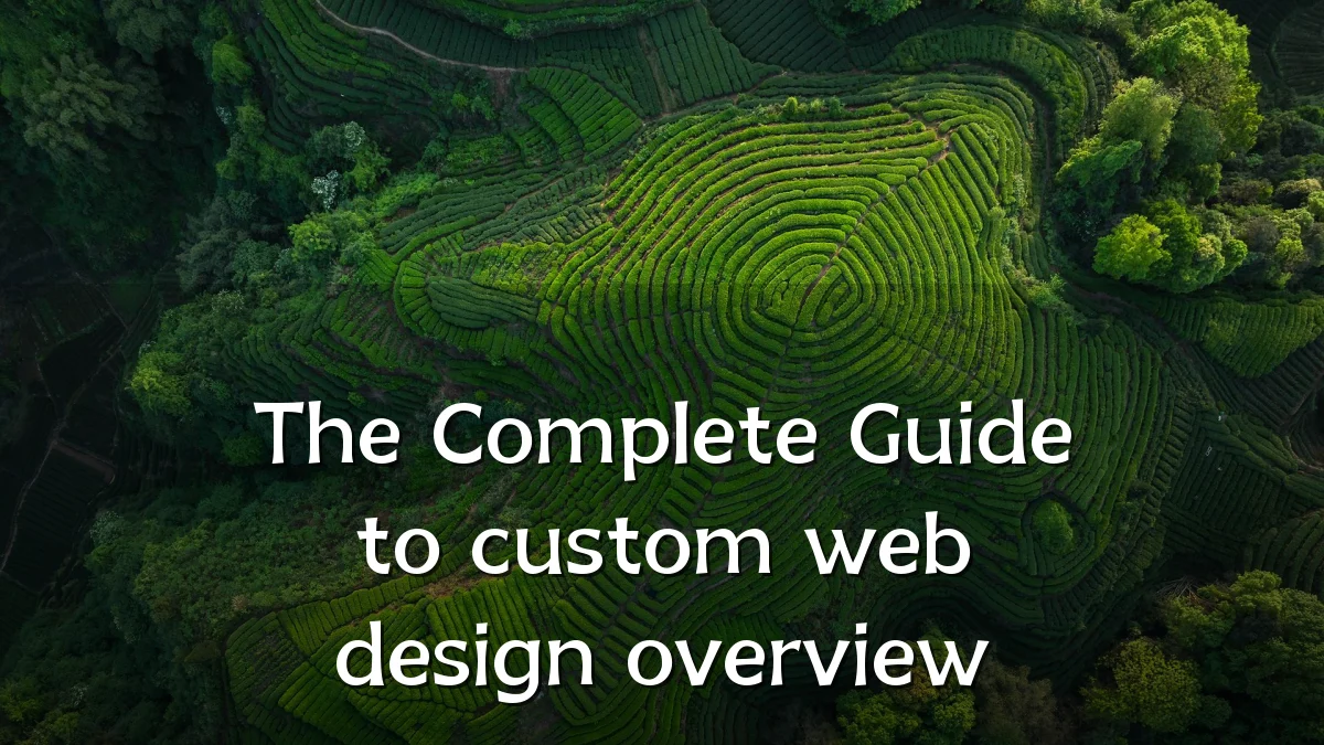 The Complete Guide to custom web design overview