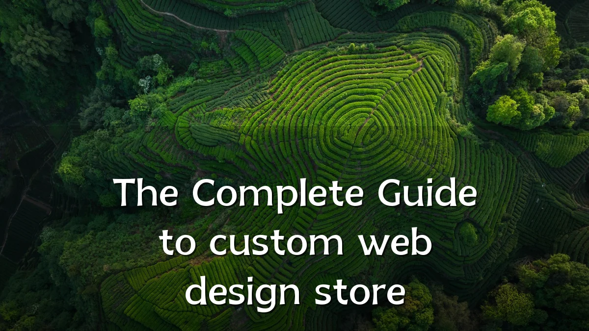 The Complete Guide to custom web design store