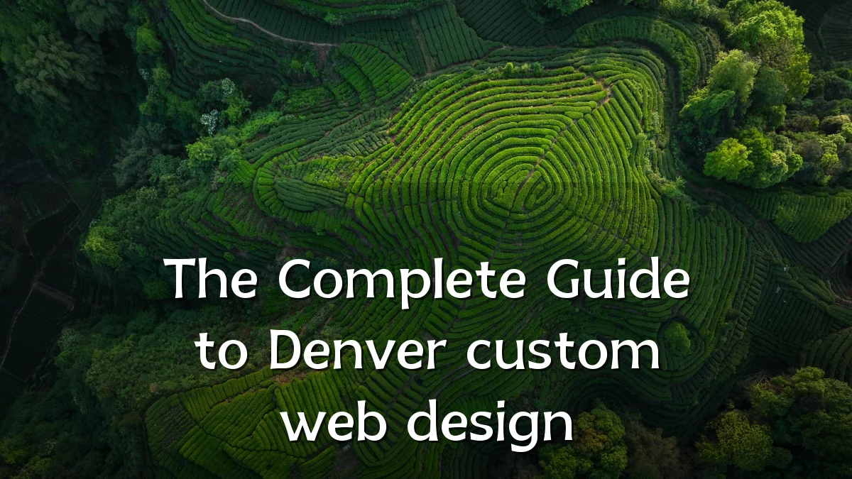 The Complete Guide to Denver custom web design
