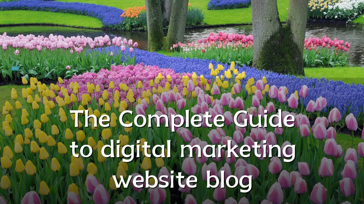 The Complete Guide to digital marketing website blog