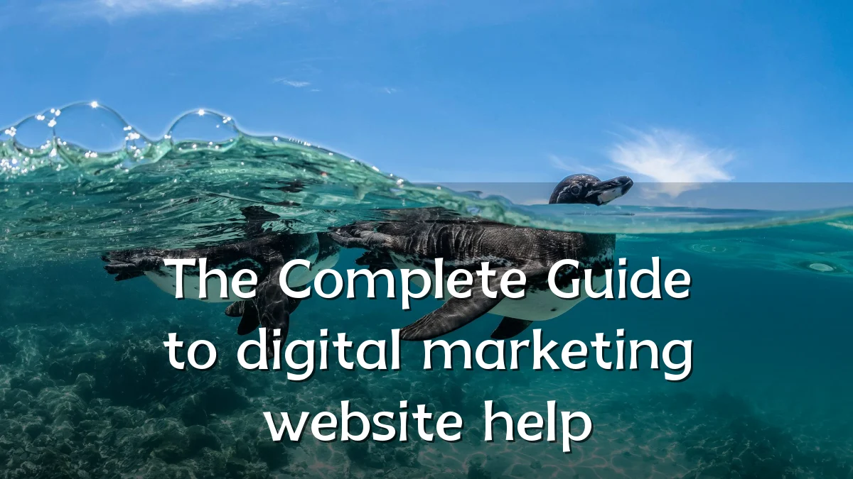 The Complete Guide to digital marketing website help