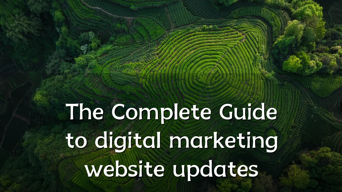 The Complete Guide to digital marketing website updates