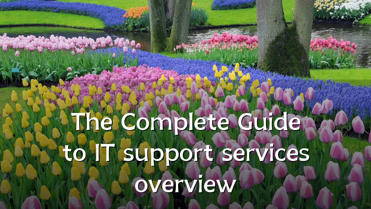 The Complete Guide to IT support services overview