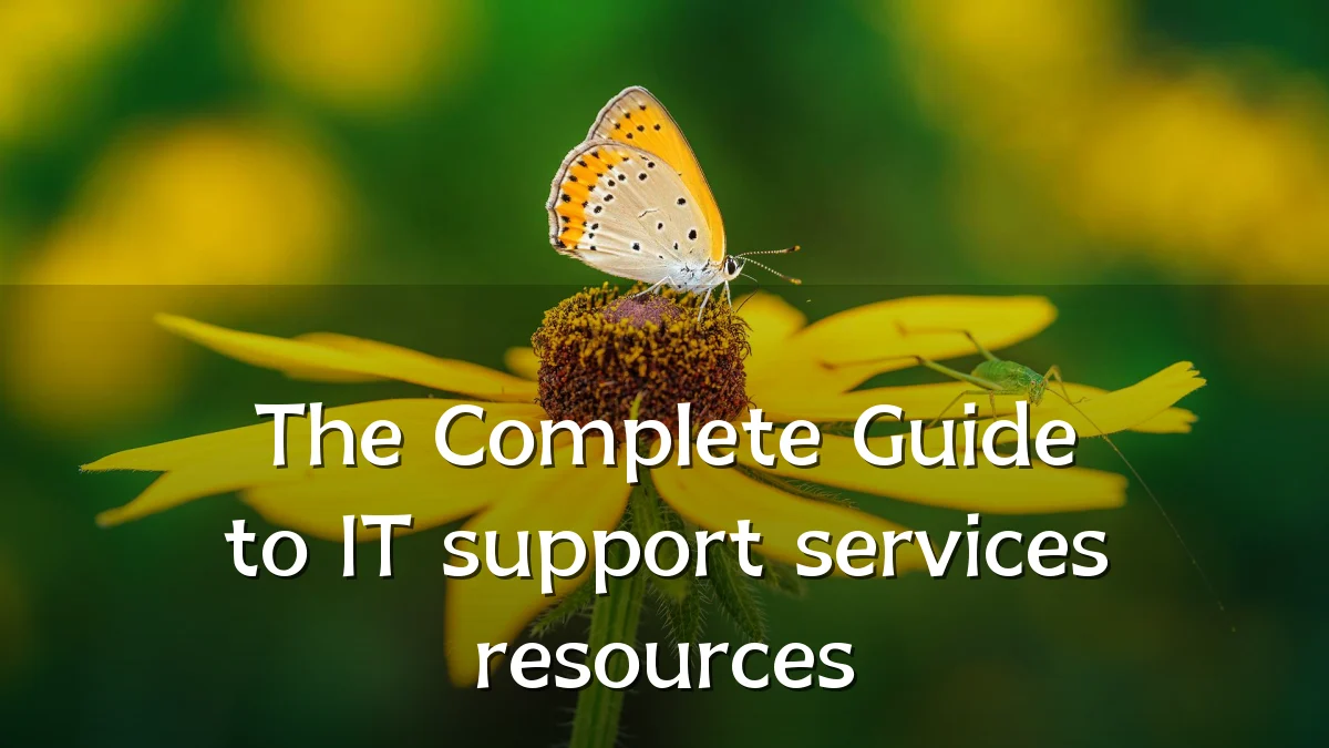 The Complete Guide to IT support services resources