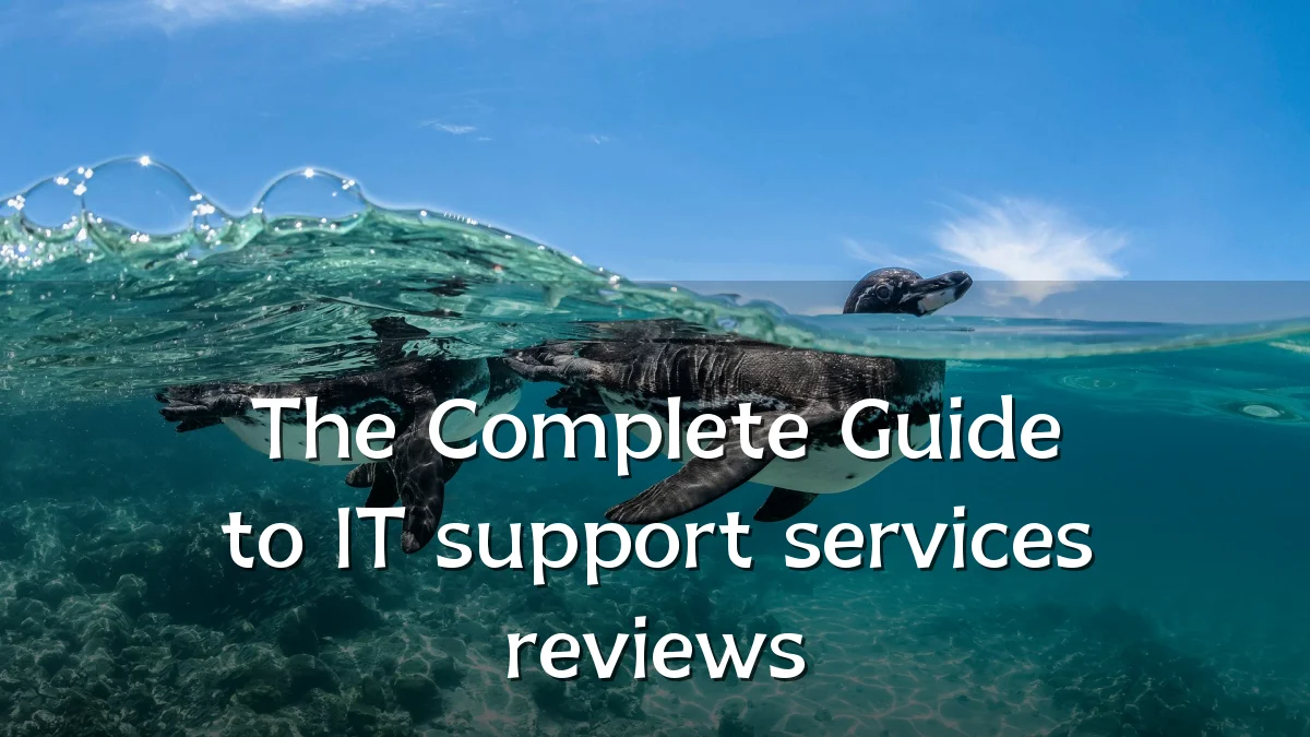 The Complete Guide to IT support services reviews