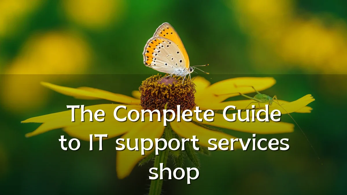 The Complete Guide to IT support services shop