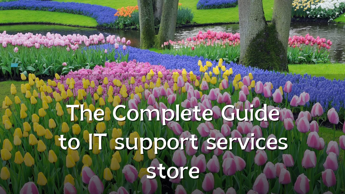 The Complete Guide to IT support services store