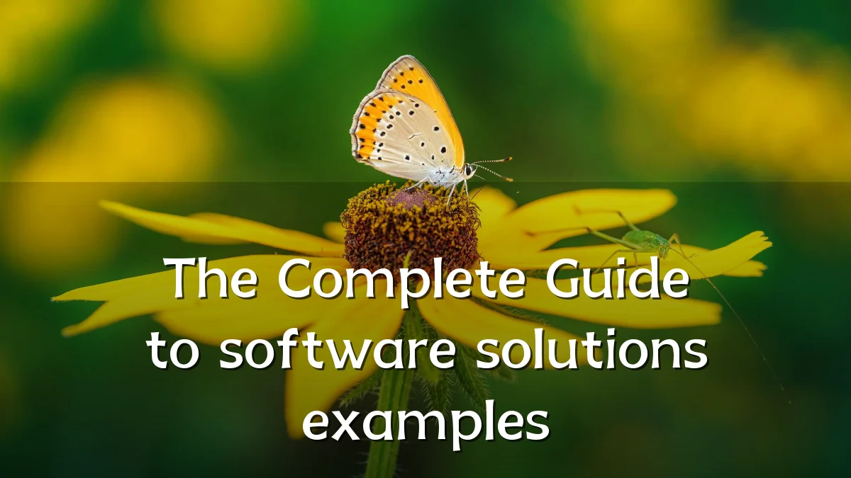 The Complete Guide to software solutions examples