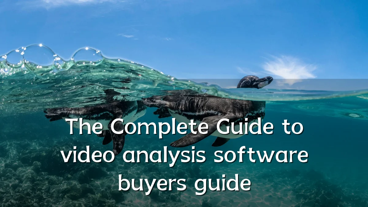 The Complete Guide to video analysis software buyers guide