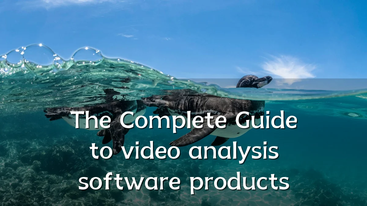 The Complete Guide to video analysis software products