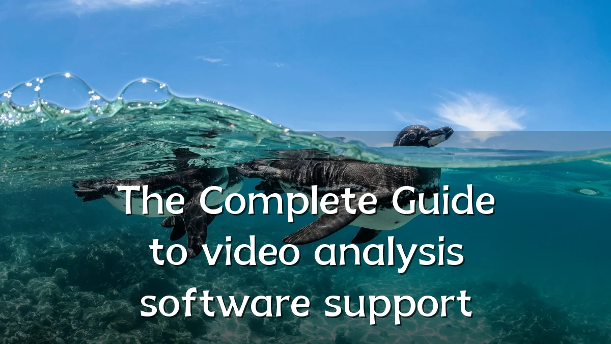 The Complete Guide to video analysis software support