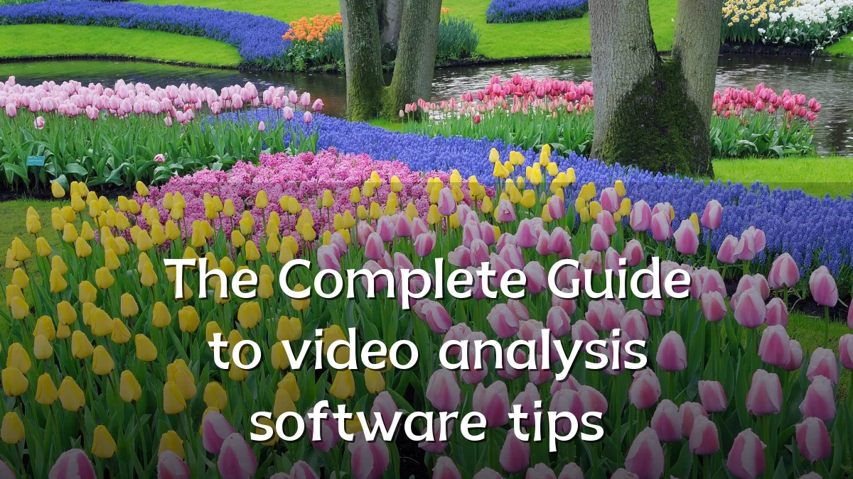 The Complete Guide to video analysis software tips