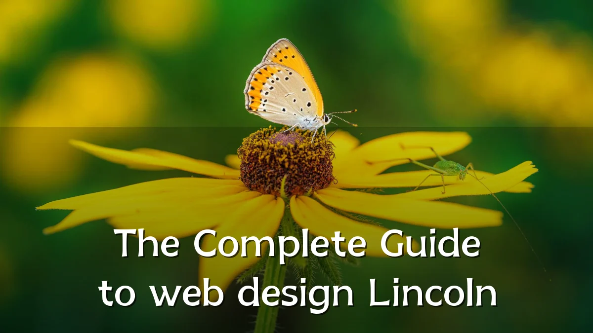 The Complete Guide to web design Lincoln