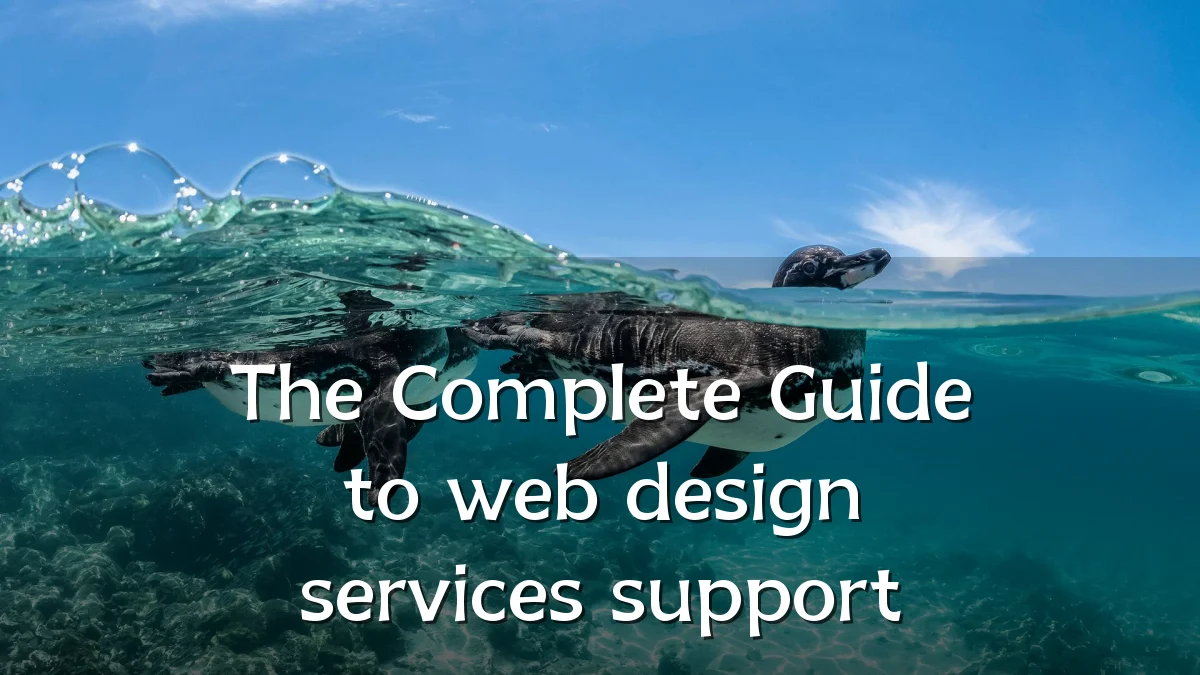 The Complete Guide to web design services support