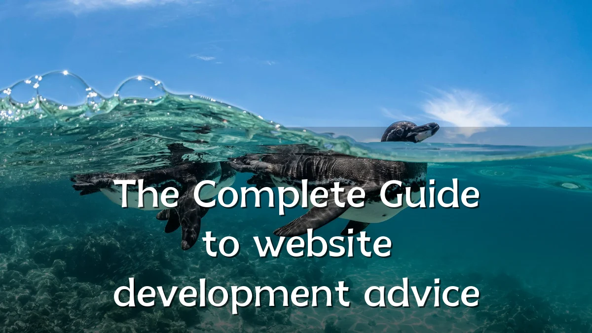 The Complete Guide to website development advice