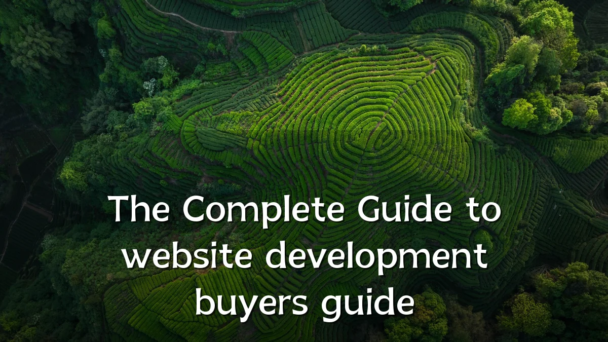 The Complete Guide to website development buyers guide