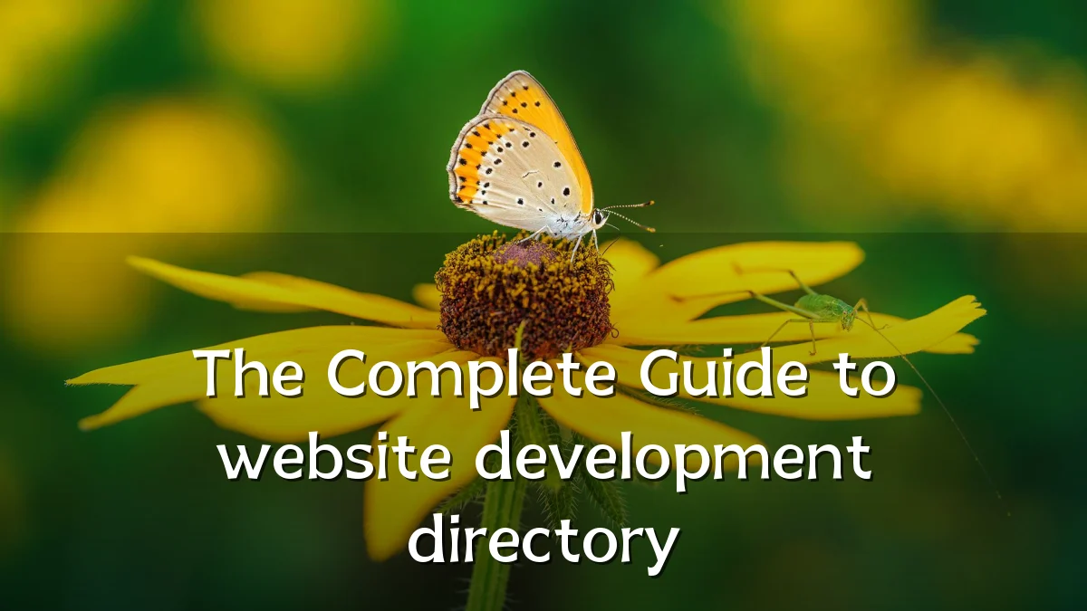 The Complete Guide to website development directory