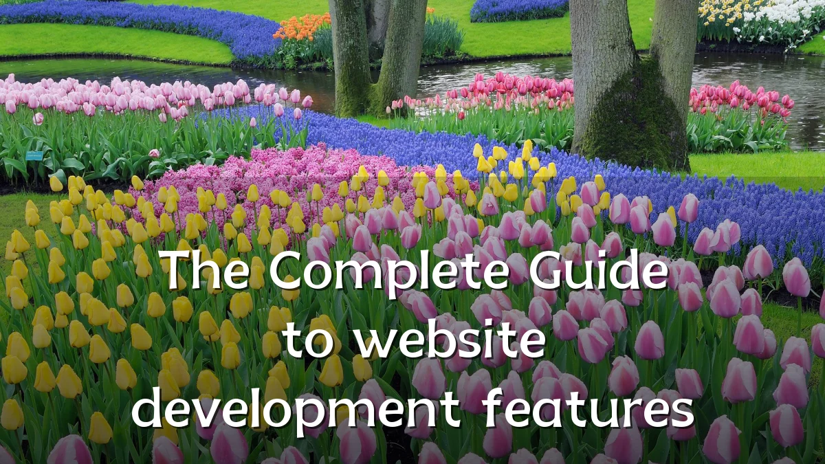 The Complete Guide to website development features